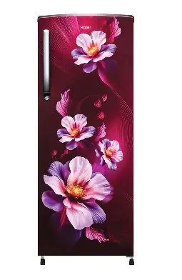 HAIER 235 LTR Refrigerator 2 STAR SINGLE DOOR REF (HRD-2562CRK-N)