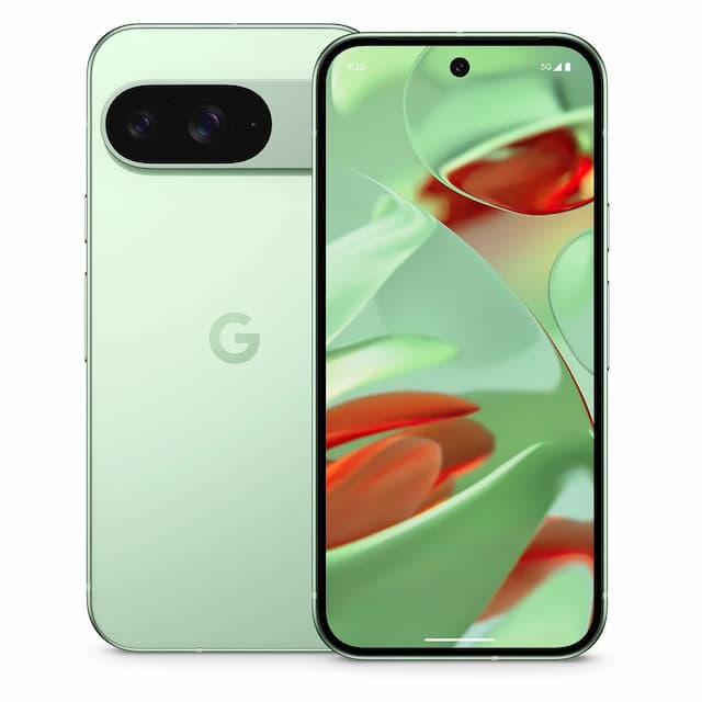 PIXEL 9 5G (Wintergreen, 12GB + 256 GB)