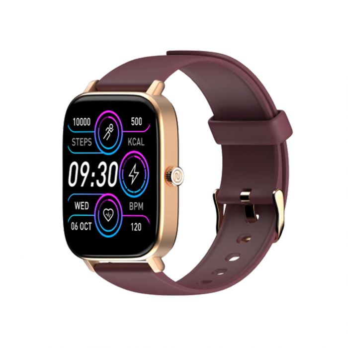 Noise ColorFit Icon 2 Deep Wine Poojara Telecom