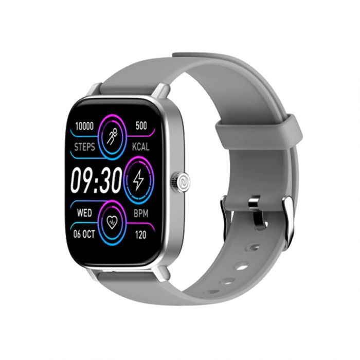 Noise ColorFit Icon 2 Silver Grey Poojara Telecom World of