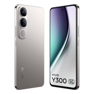 Vivo Y300 5G (Titanium Silver, 8GB + 256GB)