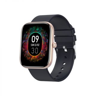 Fire-Boltt Dazzle Plus Smartwatch (Gold Black)