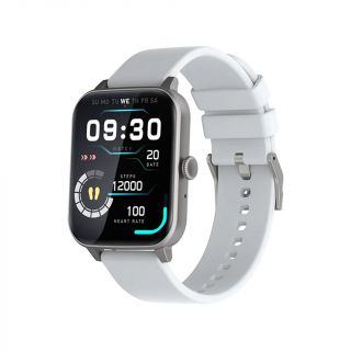 Fire-Boltt Falcon Smartwatch (Grey)