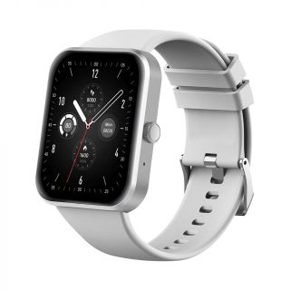 Fire-Boltt Starcross BSW056 Smartwatch (Grey)