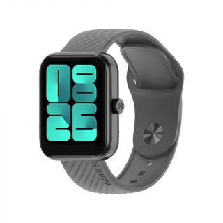 Noise ColorFit Victor (Grey)