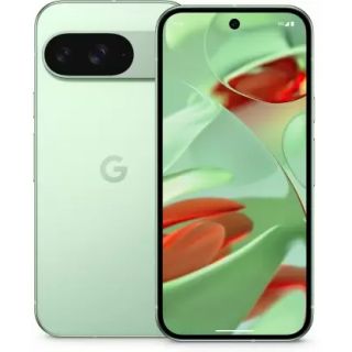 Google Pixel 9 5G (Wintergreen, 12GB + 256GB)